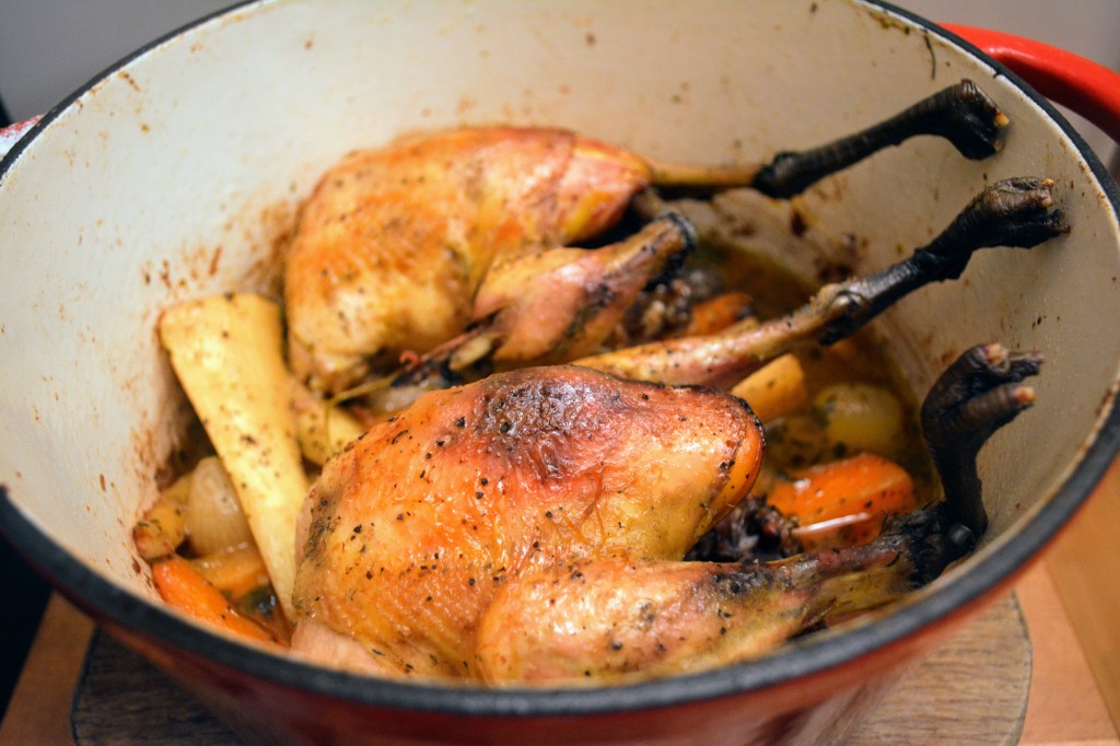 Pot-roasted Pheasants – Food Notes